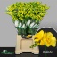 product/img.floraplaza.nl/126343-LIVE_fotos-0xB03E8942C0E8FE6576DF479A44F1B9DDCF06DAFB.jpg