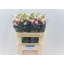 product/img.floraplaza.nl/126494-72-LIVE_fotos-0x7D33D597AD635A7A3BE317D5052EAF86AA8D8A7E.jpg