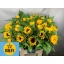product/img.floraplaza.nl/126894-80-LIVE_fotos-0xEECE385F58B0A9F29BB0F41781E27A9B311A0738.jpg