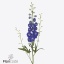 product/img.floraplaza.nl/127047-110-ART_fotos-VBN-vbn127047.jpg