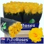 product/img.floraplaza.nl/127052-60-LIVE_fotos-0xA3D770578C0A296771A7B043FDE3F54C9F16EE4C.jpg