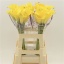 product/img.floraplaza.nl/127170-60-LIVE_fotos-0xF564686D2E7E170E22430F7A172648357164BBF6.jpg