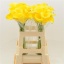 product/img.floraplaza.nl/127170-60-LIVE_fotos-0xFC150B52D76B9E91B0D93F4142769A4A17566945.jpg