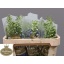 product/img.floraplaza.nl/127311-70-LIVE_fotos-0x4D74D92B226C2235D5FD9A72A834CE6368A3CE78.jpg