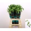 product/img.floraplaza.nl/127480-70-LIVE_fotos-0xE8534EA841859E43F9ED39DCD234016487BC3445.jpg
