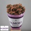 product/img.floraplaza.nl/127524-60-LIVE_fotos-0xC302A7A2ACAAAFDB5FA43EDC2C43DF934D80D639.jpg