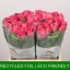 product/img.floraplaza.nl/127541-40-LIVE_fotos-0xA869A0198AE156724B404A06C42B5379866E814F.jpg