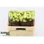 product/img.floraplaza.nl/127663-60-LIVE_fotos-0xB2BCF3C18ECC5814B6F9C7D298A6A8A342EDBB72.jpg