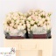 product/img.floraplaza.nl/127664-50-LIVE_fotos-0xBAEDB658878FB5CBB39AA9A70514E9E97B6FB536.jpg