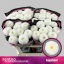 product/img.floraplaza.nl/127736-70-LIVE_fotos-0xDF42C0EF61B09FA4FFCBFEF9315711B0B03ECBD5.jpg