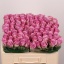 product/img.floraplaza.nl/127818-50-LIVE_fotos-0x4F3840C1B9B950845F9188A5DEA905469D9B8A4E.jpg