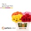product/img.floraplaza.nl/12787-50-LIVE_fotos-0xCEEEE0A29827088AC02F45A713BDBD4B82E87D9B.jpg