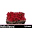 product/img.floraplaza.nl/127917-50-LIVE_fotos-0x7A0A87132821ED463CD5714165A802E22F9F23B9.jpg