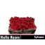 product/img.floraplaza.nl/127917-50-LIVE_fotos-0xE22D65C8D4F09D0BBA0013B09A1D854423496170.jpg