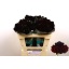 product/img.floraplaza.nl/127950-50-LIVE_fotos-0x6B216D3B608EFE9AB6B7436DF1342A9583D8943F.jpg