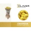 product/img.floraplaza.nl/127960-70-LIVE_fotos-0xF176101C679A9BAB6504B9E44231723B3378DE1B.jpg
