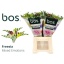 product/img.floraplaza.nl/128-50-LIVE_fotos-0xCE86F69B9C2A8F31CA12D2D172ACB2947409E84C.jpg