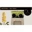 product/img.floraplaza.nl/128022-LIVE_fotos-0xB74551D3F9F052E716D9B22A410DD39B9C01FA96.jpg