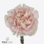 product/img.floraplaza.nl/128121-60-ART_fotos-VBN-vbn128121.jpg