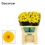 product/img.floraplaza.nl/128230-70-LIVE_fotos-0xABC5779719181ECC3F9AA839A9944C22553C0C3B.jpg