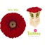 product/img.floraplaza.nl/128296-50-LIVE_fotos-0xD7590E8541BBBCCDFC11D6D5968C0E0AA7FDC079.jpg