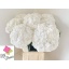 product/img.floraplaza.nl/128351-80-LIVE_fotos-0xEC08F6759C2E297C7F8778AC3335C5D2890A274A.jpg