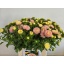product/img.floraplaza.nl/1284-60-LIVE_fotos-0xA1ED1BA4170CF0B5ACF9E99A765B94711F292A30.jpg