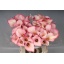 product/img.floraplaza.nl/128413-65-LIVE_fotos-0x53450ED194A15A83F946B1DAB1BABEC91C0F6043.jpg