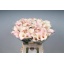 product/img.floraplaza.nl/128413-65-LIVE_fotos-0xC27792A8EB6DE6A27FF7A7FBCA7D6FD4D77082B8.jpg