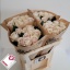 product/img.floraplaza.nl/128489-70-LIVE_fotos-0xE5CA7DFDCDF7D04DA6859FB787AFEEED5EA4E5CE.jpg