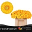 product/img.floraplaza.nl/128496-50-LIVE_fotos-0xA7C69ADDFF099356B747DD6EB0BE0B149F8FD3D2.jpg