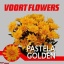 product/img.floraplaza.nl/128512-70-LIVE_fotos-0xF0714061BA5BA17B07C4E41E3EBF00B08ECB93D3.jpg