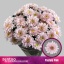 product/img.floraplaza.nl/128513-70-LIVE_fotos-0x8BC08CA1F383F518C56D7199A55EE4F6EC645E3C.jpg
