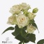 product/img.floraplaza.nl/128532-50-ART_fotos-VBN-vbn128532.jpg