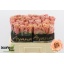 product/img.floraplaza.nl/128724-50-LIVE_fotos-0xCCFDCF0A0001ACF82EB0D90093DF1AB5587C86C2.jpg