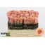 product/img.floraplaza.nl/128724-50-LIVE_fotos-0xE98F65667F3A271BFF669BADE32224B3A55C28A5.jpg