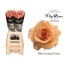 product/img.floraplaza.nl/128724-70-LIVE_fotos-0xBB323336D62E8CAE7321A8A64BC3735B08CFCE11.jpg
