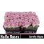 product/img.floraplaza.nl/128776-50-LIVE_fotos-0x60E1E097CB36DA8EEC4E2C1AD272C209434B82E6.jpg