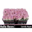 product/img.floraplaza.nl/128776-50-LIVE_fotos-0xCE110CAC41CB98A891F6A10FC152252019BF026E.jpg