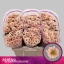 product/img.floraplaza.nl/128869-55-LIVE_fotos-0xCF34CD96C448027CABAB16E7F487E848F7CA4614.jpg