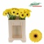 product/img.floraplaza.nl/128934-LIVE_fotos-0x79991C8C4289B94B341010266EB6C5603A1E4F95.jpg