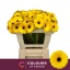product/img.floraplaza.nl/128934-LIVE_fotos-0x9A128FB5A2552F8B4C85D5A751B7498EFFDA85D8.jpg
