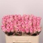 product/img.floraplaza.nl/128965-50-LIVE_fotos-0xFC8E74940A46A0C6831C329D90EBACDCB6E20BFC.jpg