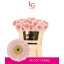 product/img.floraplaza.nl/128984-50-LIVE_fotos-0x1F7B69B8A2BBC7A9C564FB5DC6CAA3CCC35C4C0B.jpg