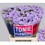 product/img.floraplaza.nl/129172-60-LIVE_fotos-0xF9EB4C66AA77891BF5F4EF244241AA56CDD359D6.jpg