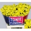 product/img.floraplaza.nl/129243-60-LIVE_fotos-0xD3B83D7429897A1A345146238A7716131564003D.jpg