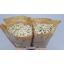 product/img.floraplaza.nl/129288-60-LIVE_fotos-0x2F05EF6DF54ACB1D52854DF9FF73F02F4676BC22.jpg