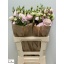 product/img.floraplaza.nl/129392-70-LIVE_fotos-0x03100DAF14E9DB65FF3B890FA9AD9CB99BD43CF7.jpg