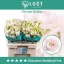 product/img.floraplaza.nl/129392-70-LIVE_fotos-0x29A7B7688BED50FC714218CECDE57EC1CDF9198C.jpg