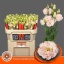 product/img.floraplaza.nl/129392-70-LIVE_fotos-0xC872158F18B4DE283AA8D42F9A549128CB201747.jpg